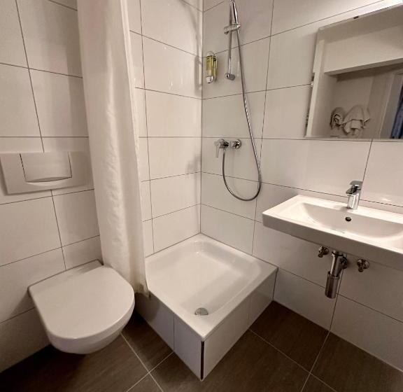 غرفة قياسية سرير كينج, Altstadthotel Hayk Am Rhein