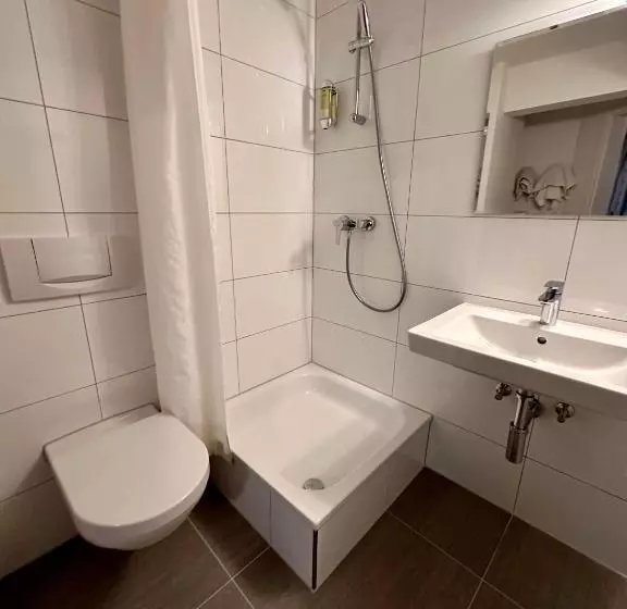 キングサイズベッドのスタンダードルーム, Altstadthotel Hayk Am Rhein