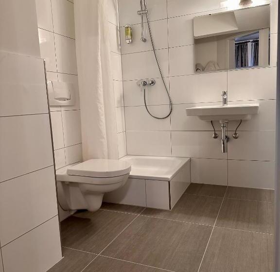 غرفة قياسية سرير كينج, Altstadthotel Hayk Am Rhein