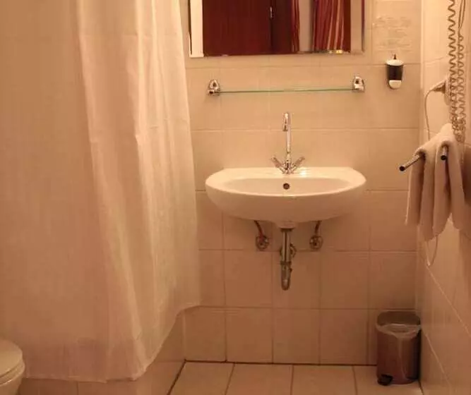 スタンダードルーム, Altstadthotel Hayk Am Rhein