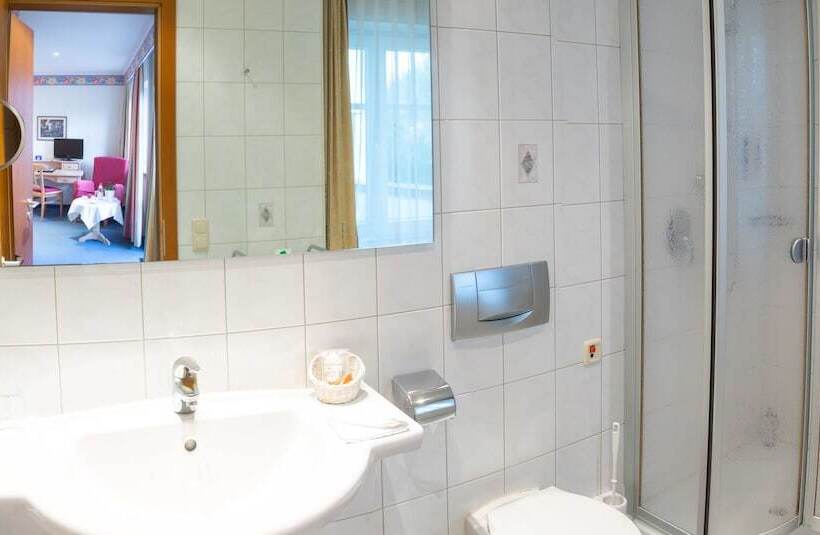 חדר סטנדרט יחיד, Aktiv Hotel Schweiger