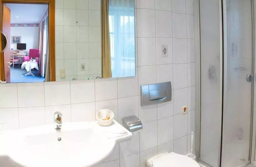 اتاق استاندارد یک نفره, Aktiv Hotel Schweiger