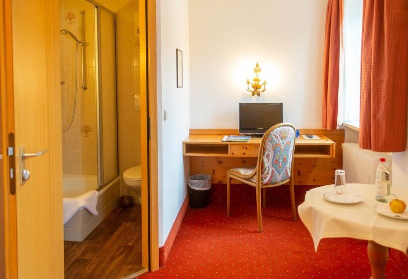 חדר סטנדרט יחיד, Aktiv Hotel Schweiger