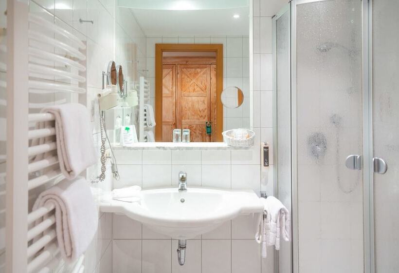 חדר סטנדרט, Aktiv Hotel Schweiger