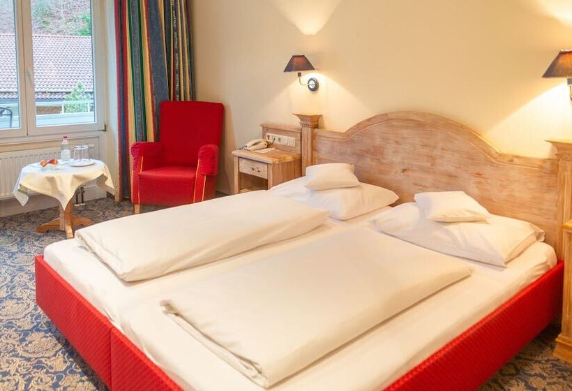 Номер Стандарт, Aktiv Hotel Schweiger