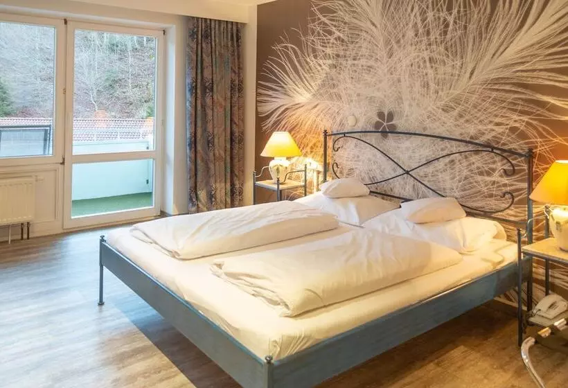 اتاق راحتی, Aktiv Hotel Schweiger