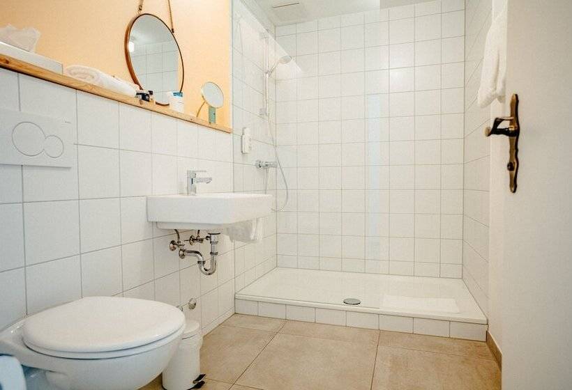 غرفة قياسية فردية, Alpenrose Bayrischzell