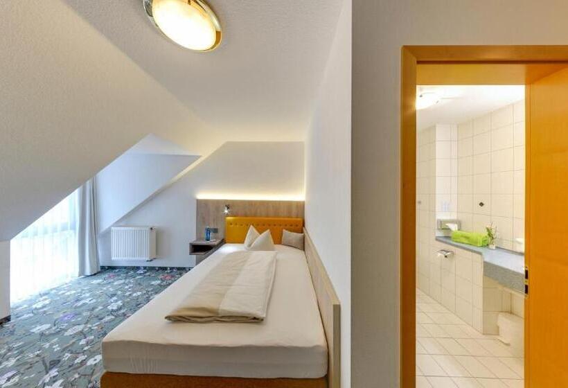 Номер Superior Одноместный, Landhotel Seerose