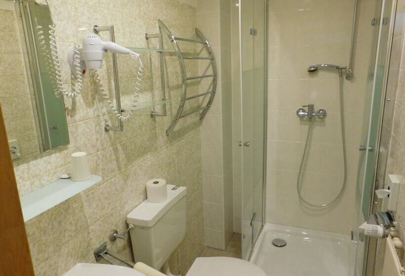 غرفة قياسية فردية, Pension Am Kurmittelhaus