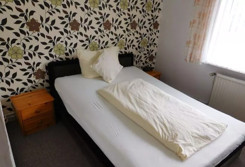 スタンダードシングルルーム, Pension Am Kurmittelhaus