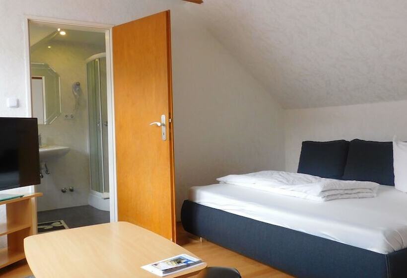 스탠다드 트리플 룸, Pension Am Kurmittelhaus