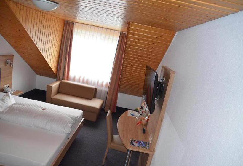 غرفة قياسية فردية, Tiptop Hotel Hirt