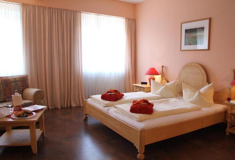 غرفة قياسية, Kurhotel Fürstenhof By David