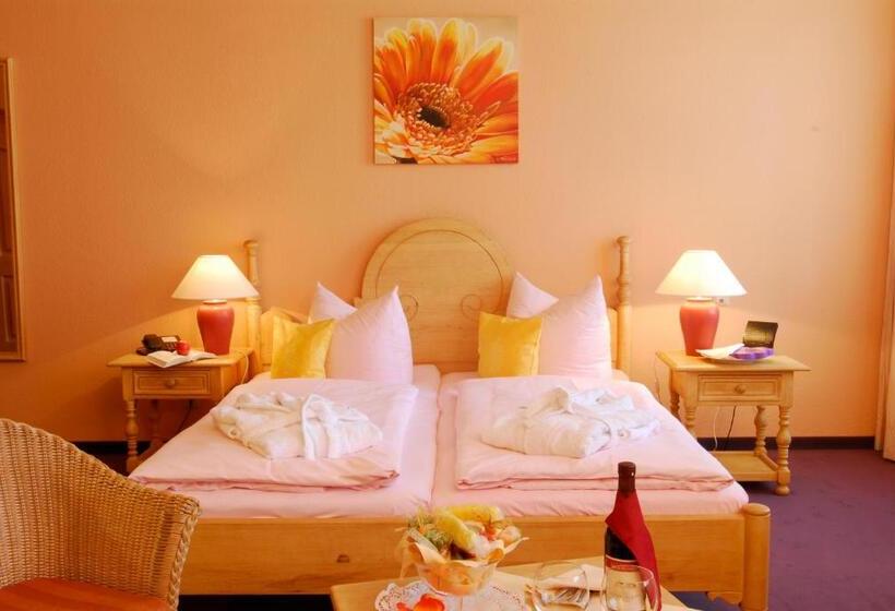 غرفة قياسية, Kurhotel Fürstenhof By David