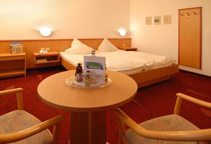 Номер Стандарт, Panoramahotel Lilienstein