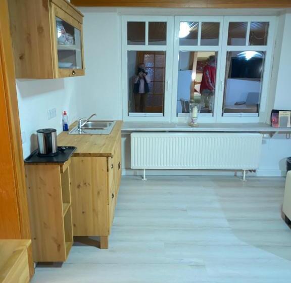 Семейное Студио, Panoramahotel Lilienstein