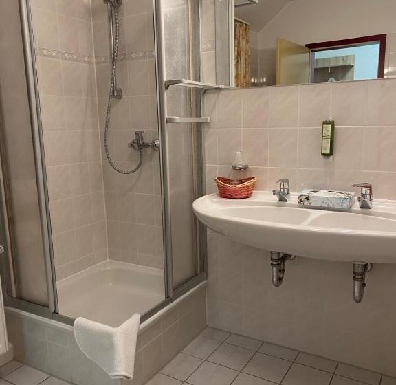 Апартаменты 1 Спальня с Балконом, Panoramahotel Lilienstein