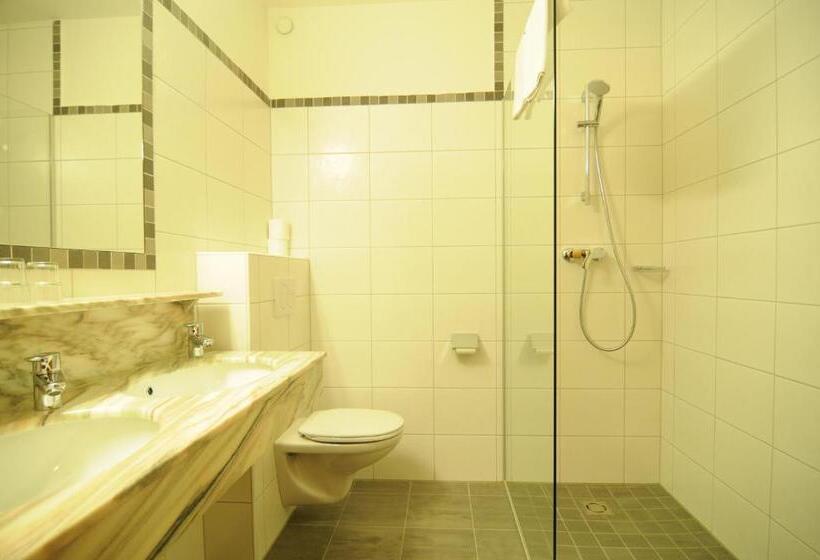 غرفة قياسية, Sporthotel Tirolerhof