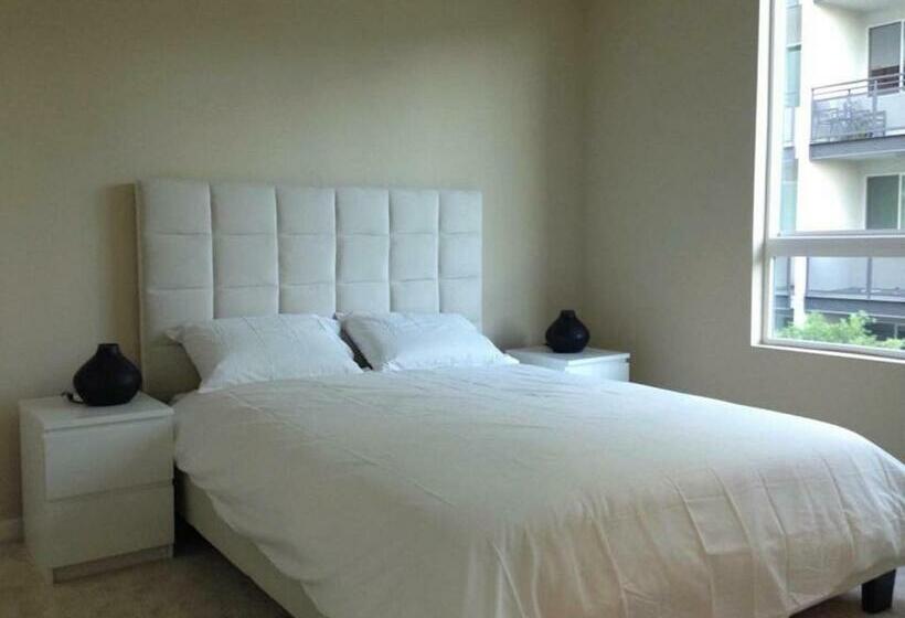 شقة غرفة واحدة, Central Apartment