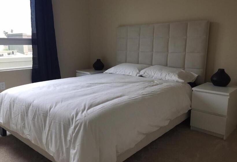 شقة غرفة واحدة, Central Apartment