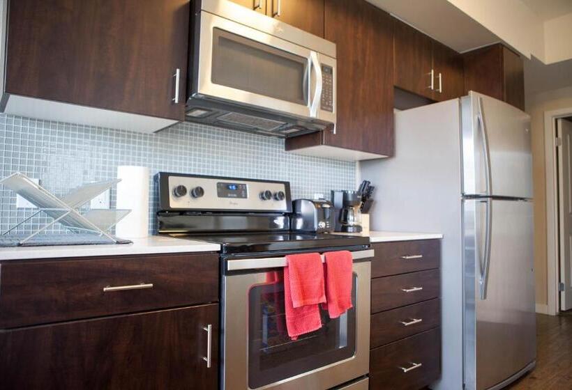 شقة غرفة واحدة, Central Apartment