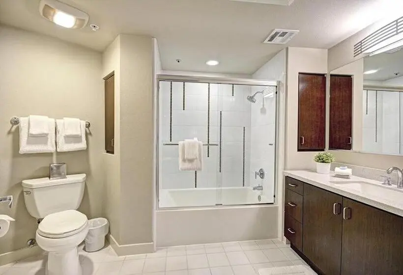 バルコニー付き1ベッドルームアパートメント, Central Apartment