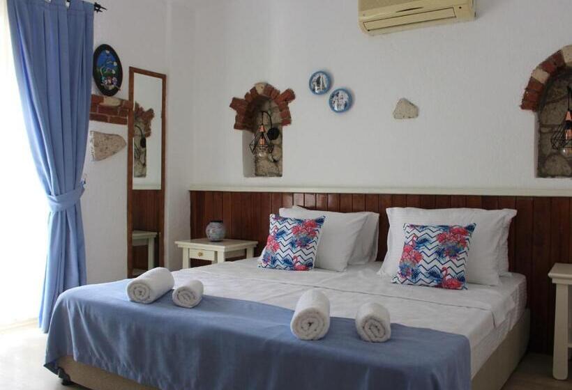 غرفة قياسية, Ala Anka Butik Otel