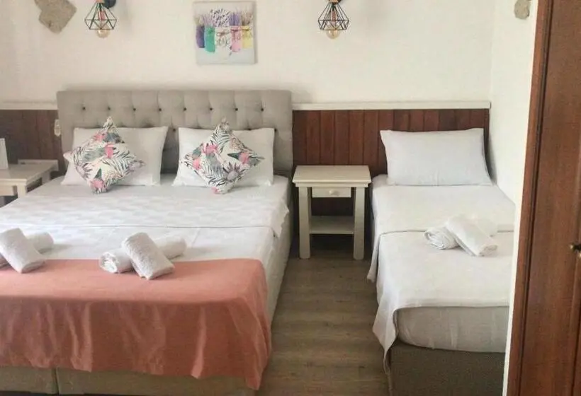 デラックスの４人部屋, Ala Anka Butik Otel