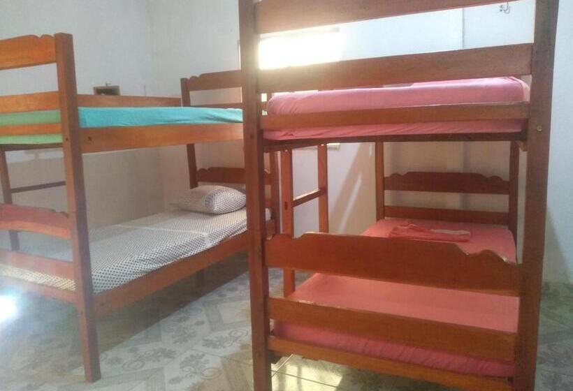 ルームシェアのワンベッド, Hostel Viajante Marajo