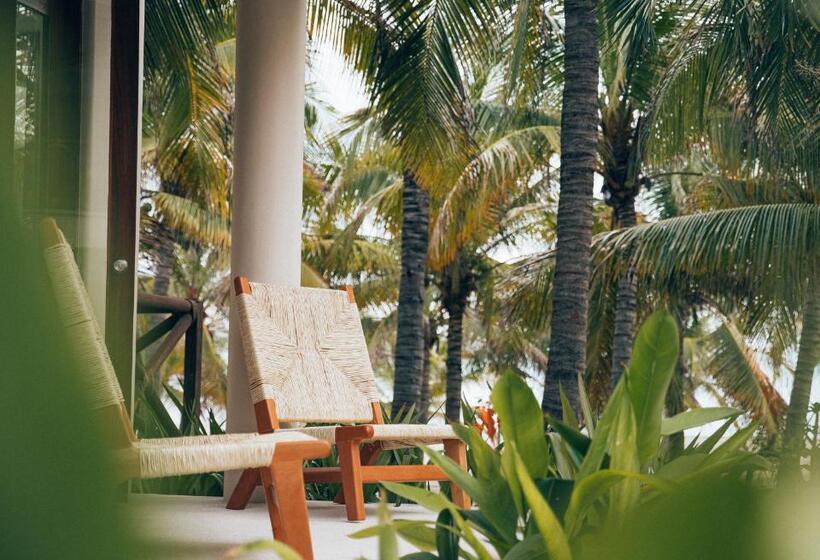 デラックススイート, Casa Kuaa