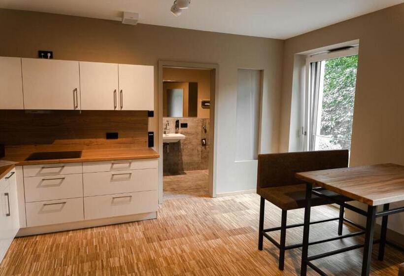 １ベッドルームのデラックスアパートメント, Cavallestro Deluxe