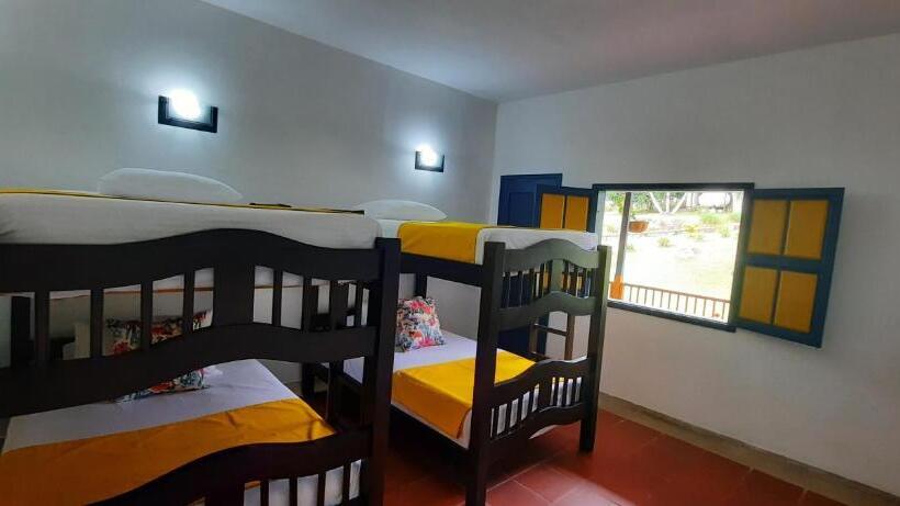 带大床的标准间, Ecohotel Guaduales Pereira