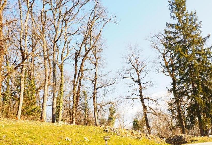 Номер Deluxe, La Garenne De Morestel