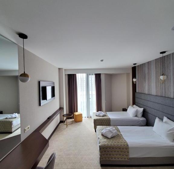 اتاق سوپریور, Salvador