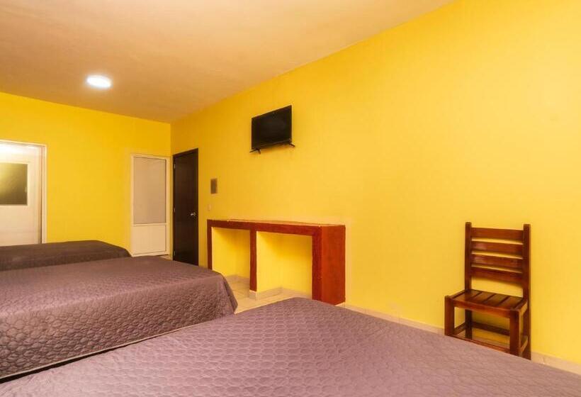 Семейный Номер, Santa Cruz