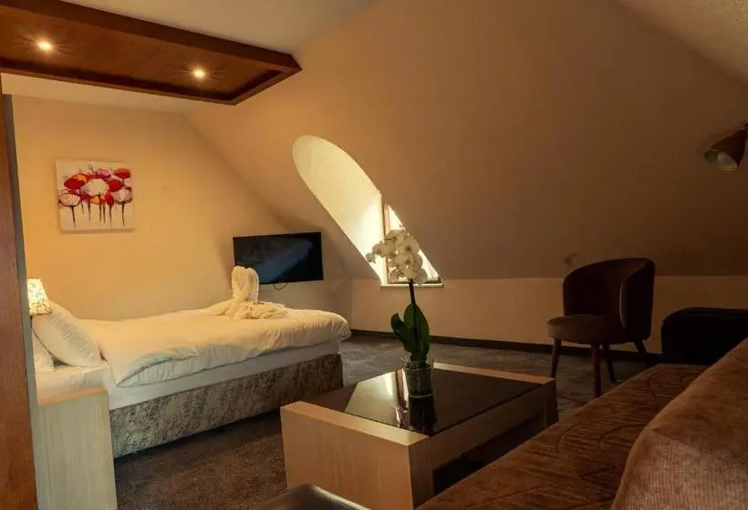 スーペリアスタジオ, Boutique Hotel Provence бутик хотел прованс