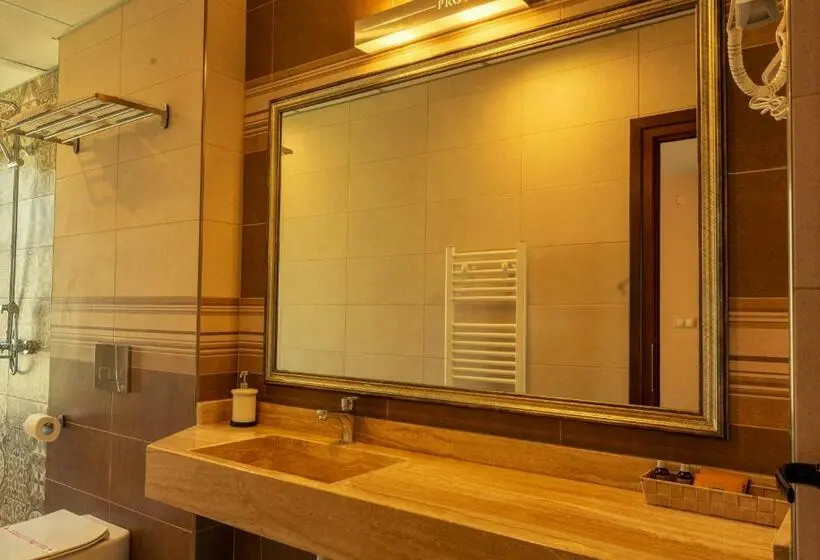 テラス付きスタンダードルーム, Boutique Hotel Provence бутик хотел прованс