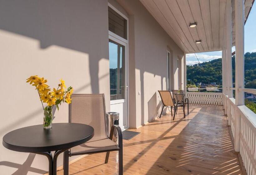 スーペリアールーム, History • სასტუმრო ისტორია