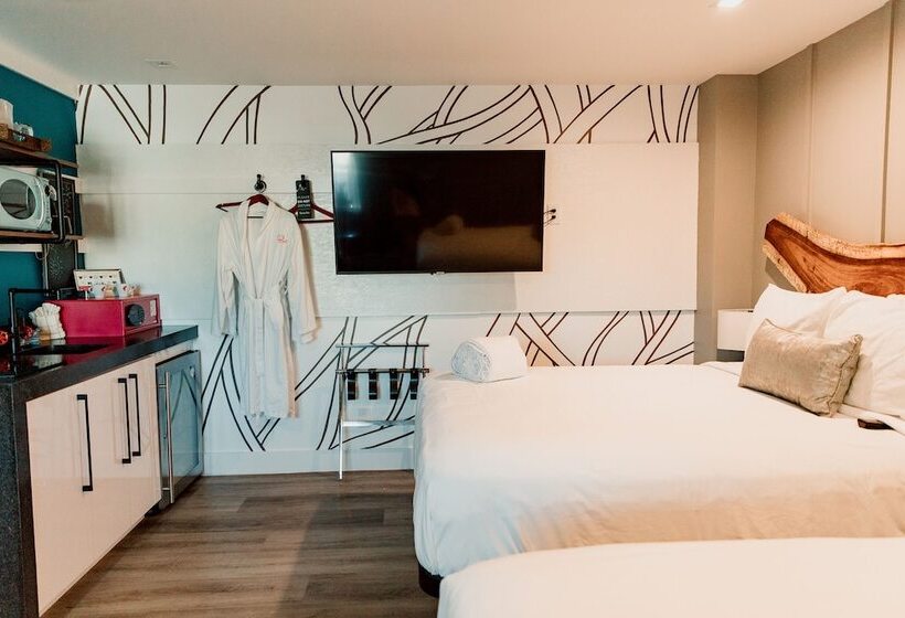 إستوديو ديلوكس, The Saint