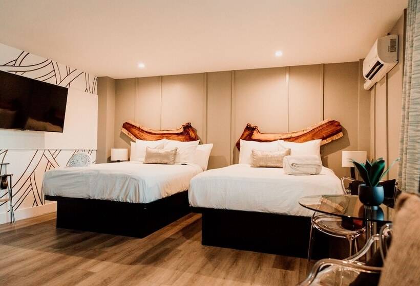 إستوديو ديلوكس, The Saint