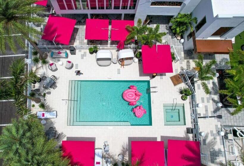 غرفة قياسية سرير كينج, The Saint