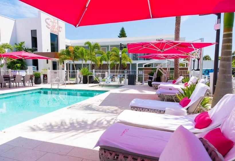 带大床的标准间, The Saint