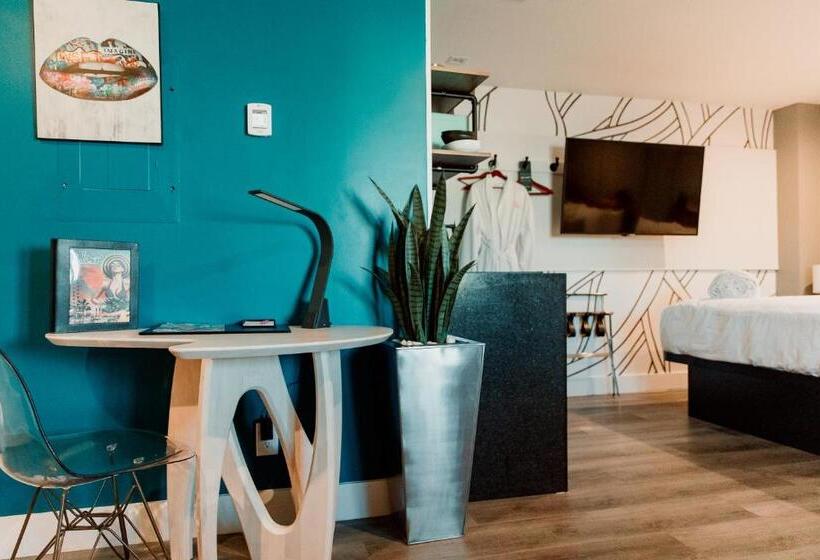 إستوديو ديلوكس, The Saint