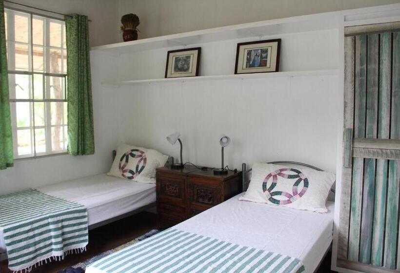 经济房, Mayas Nest