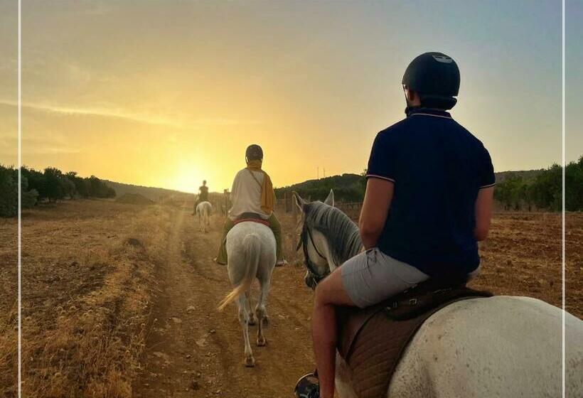 سوییت, Gîte Raid Oriental