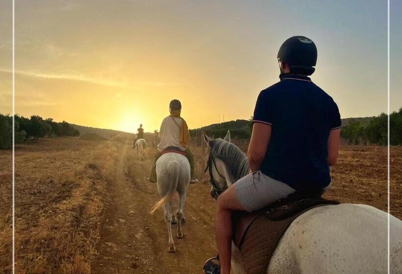 کلبه ییلاقی, Gîte Raid Oriental