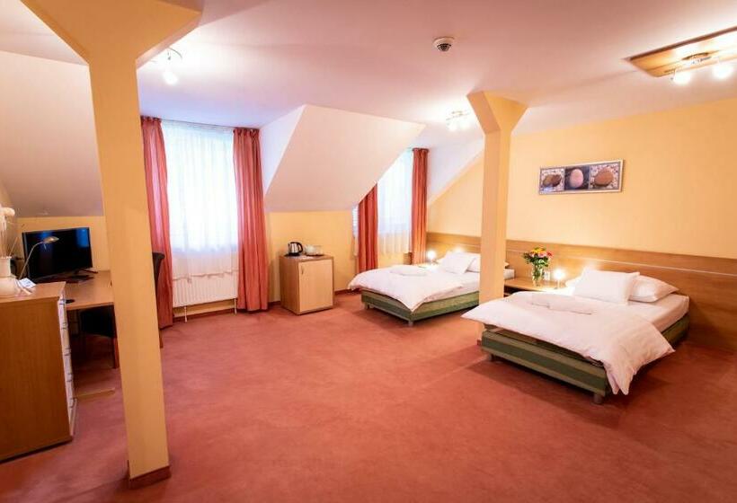 Номер Стандарт, Novy Kastiel Self Check In