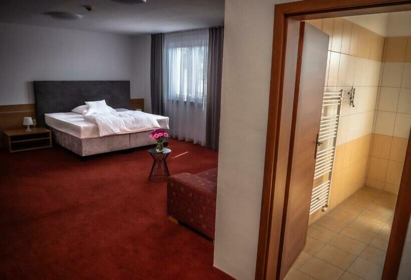 Четырехместный Номер Стандарт, Novy Kastiel Self Check In