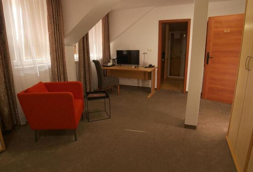 Номер Стандарт, Novy Kastiel Self Check In