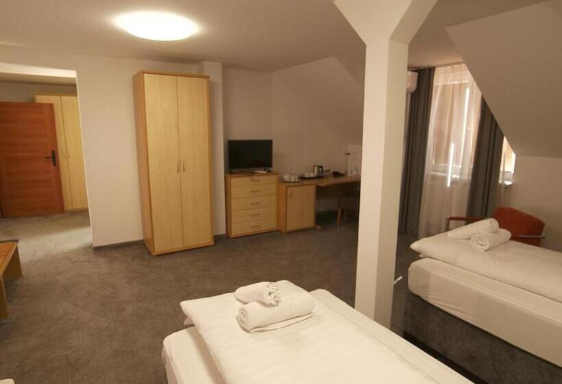 Номер Стандарт Трехместный, Novy Kastiel Self Check In